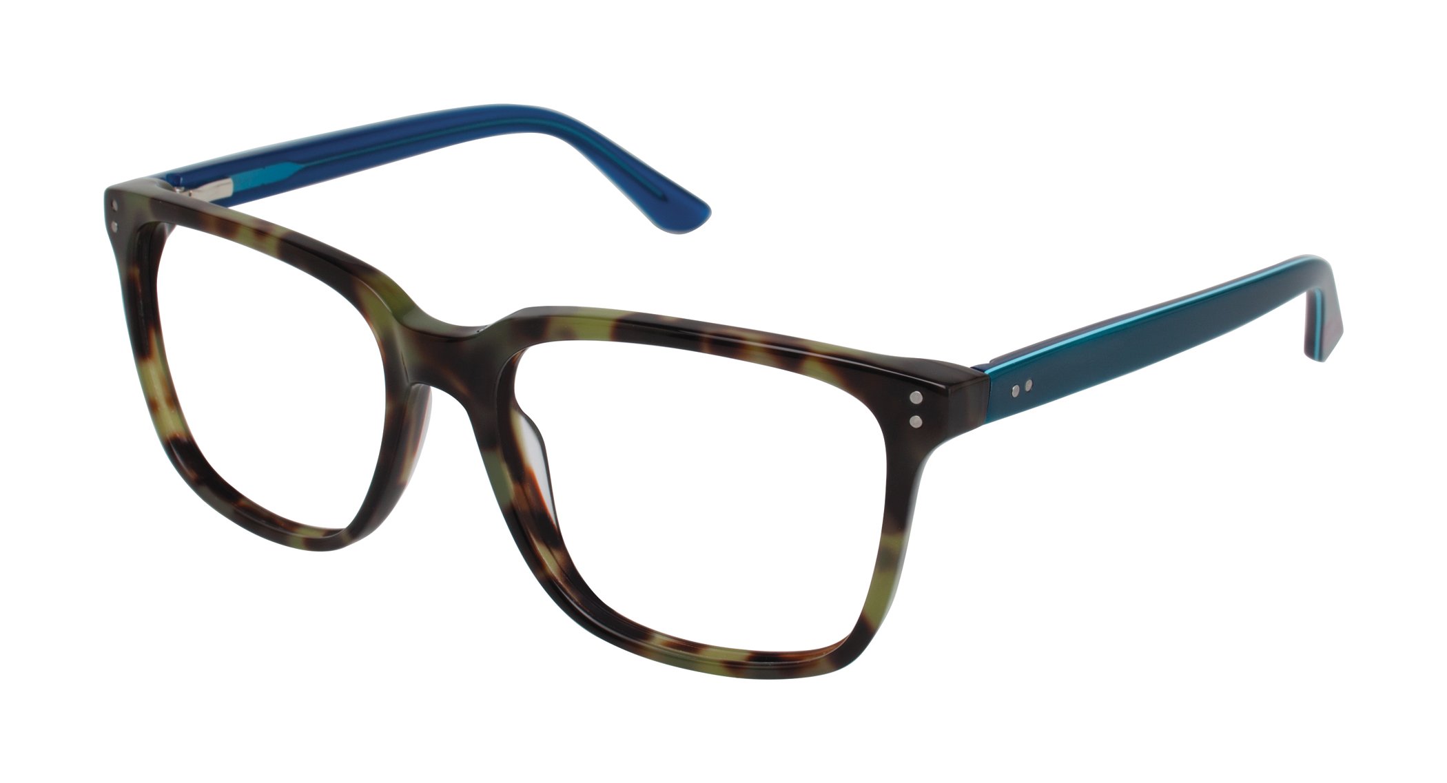 Olive Tortoise