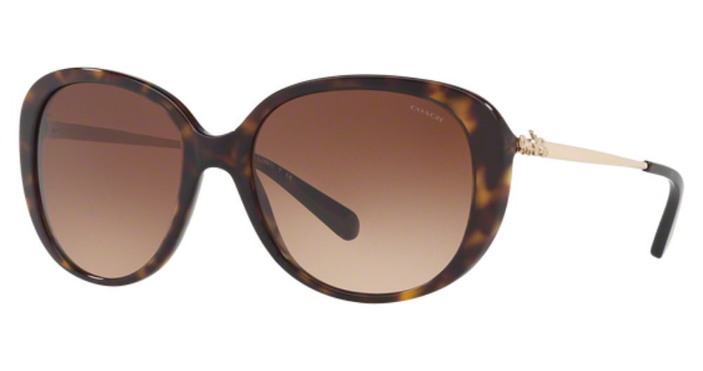 DARK TORTOISE / BROWN GRADIENT