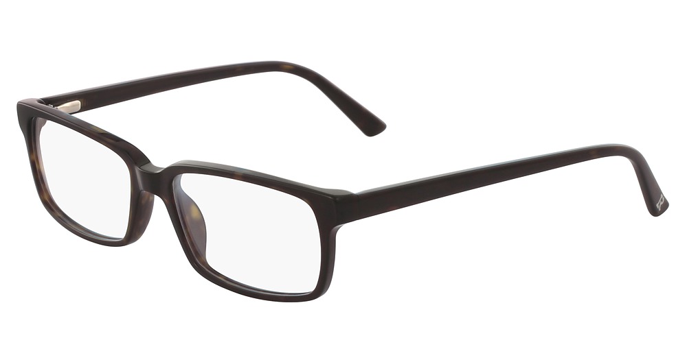 TORTOISE