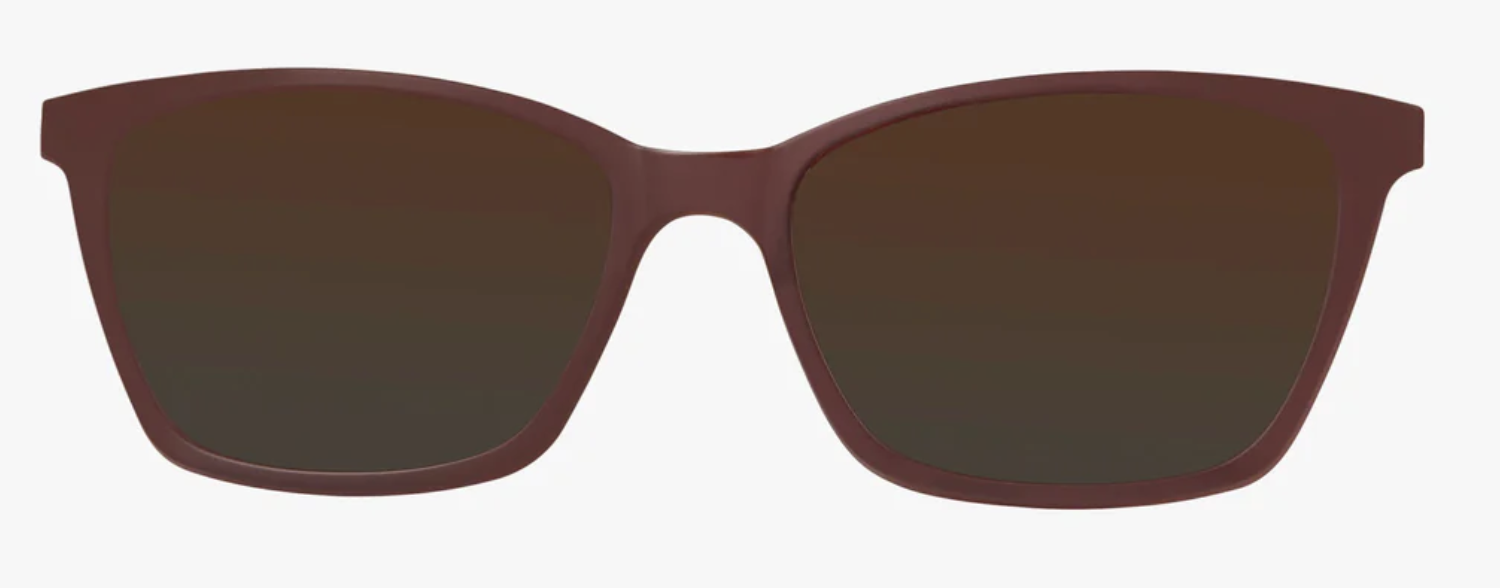 DARK PURPLE TORTOISE - SET