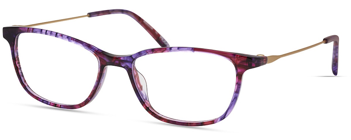 PURPLE TORTOISE