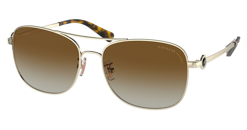 SHINY LIGHT GOLD / BROWN GRADIENT POLAR