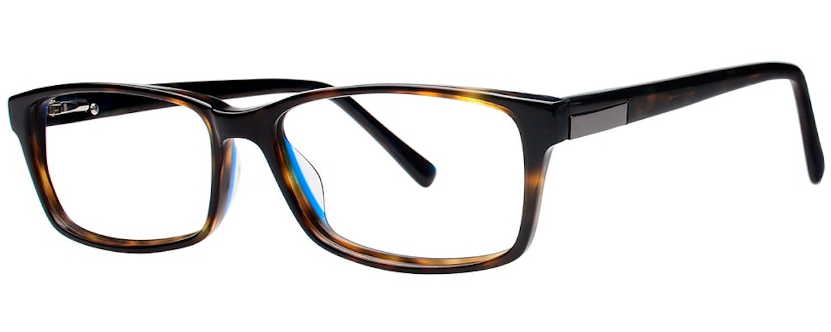 tortoise/blue