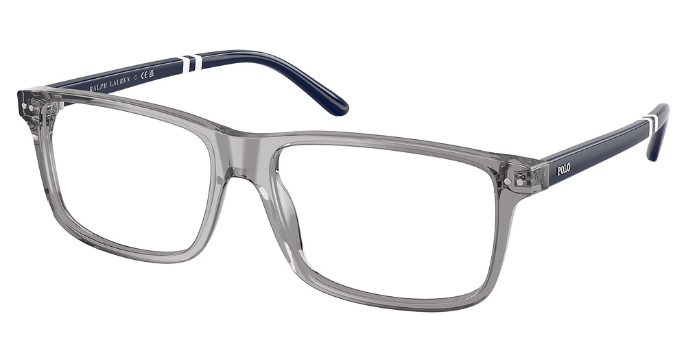 SHINY TRANSPARENT GREY