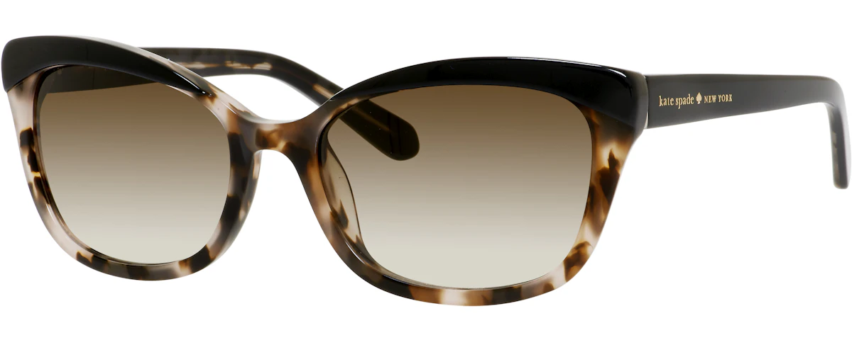 Black Blush Tortoise (Y6 Brown Gradient)