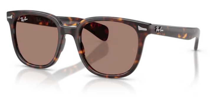HAVANA / LIGHT VIOLET