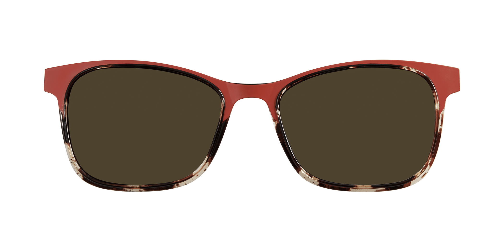 RED TORTOISE