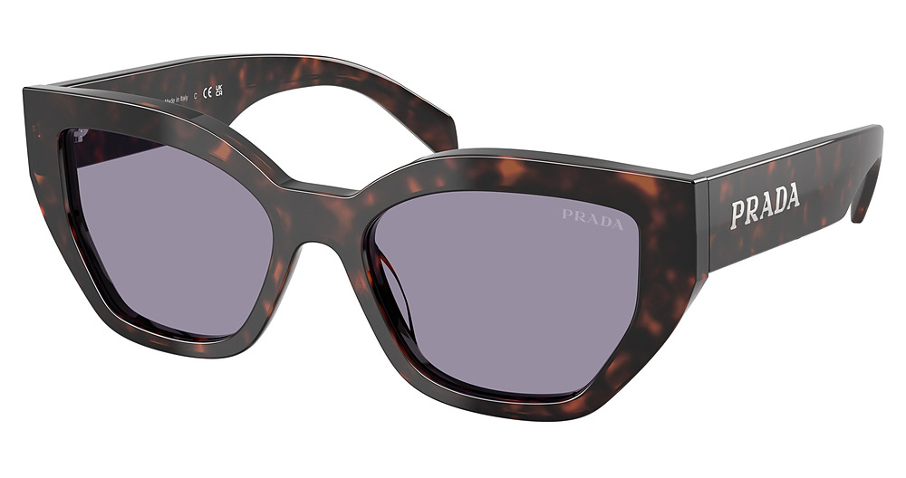 ROOT TORTOISE / GREY