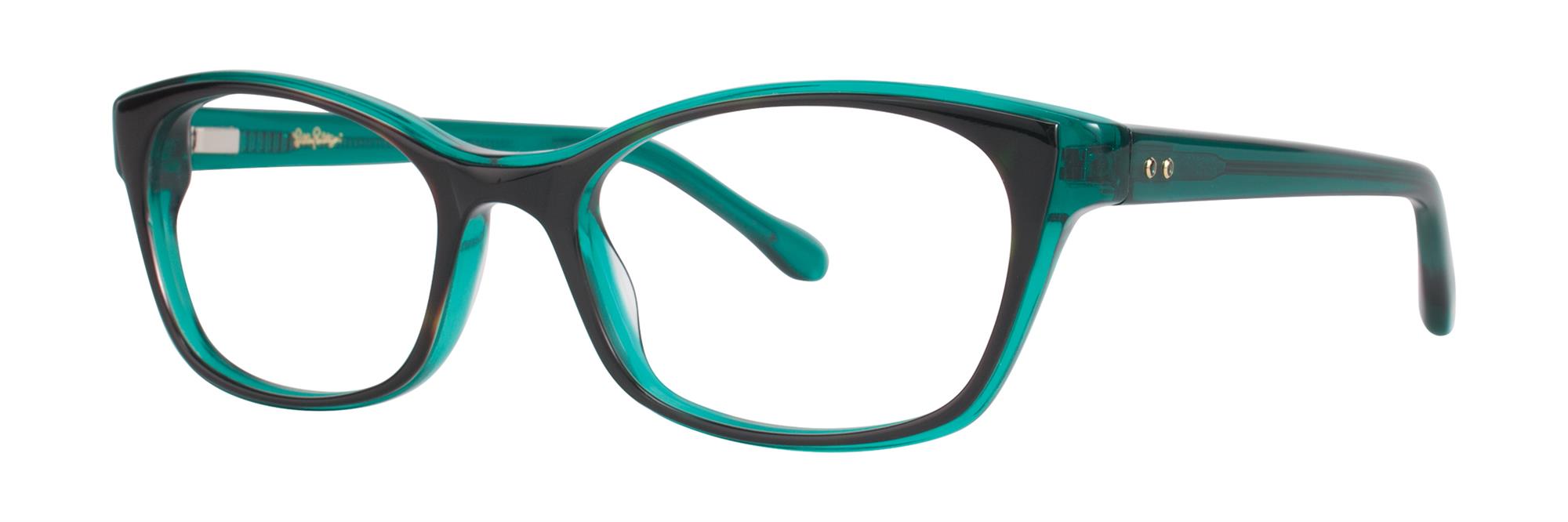 Tortoise Aqua