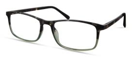 GREEN TORTOISE GRADIENT - SET