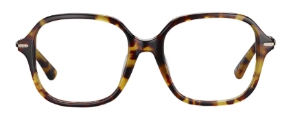 Shiny Transparent Violet Shiny Silver