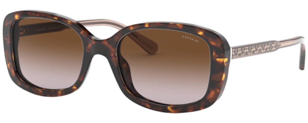 DARK TORTOISE / Brown Gradient