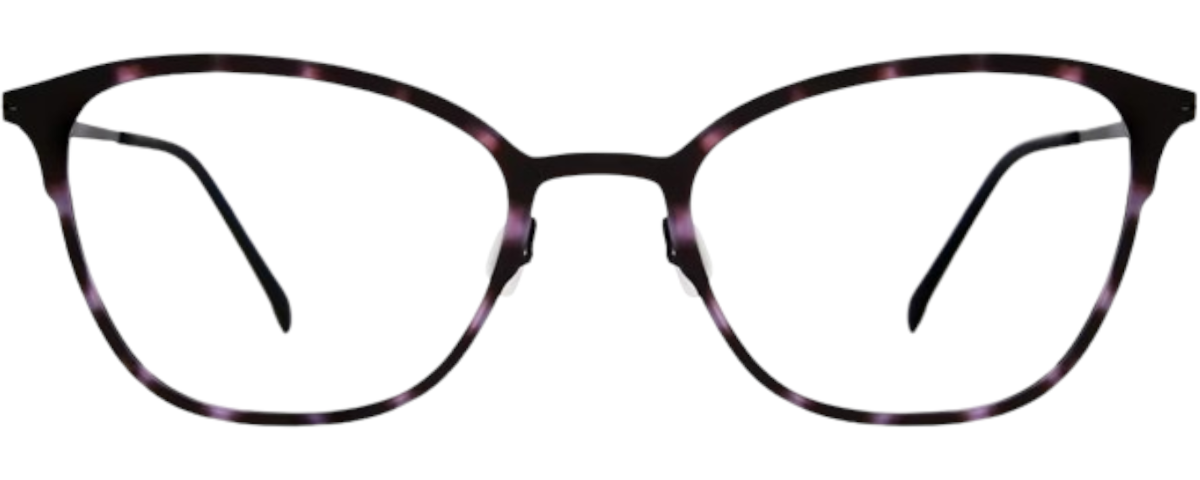 PURPLE TORTOISE