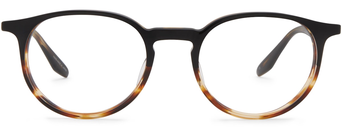 Raven Tortoise Gradient