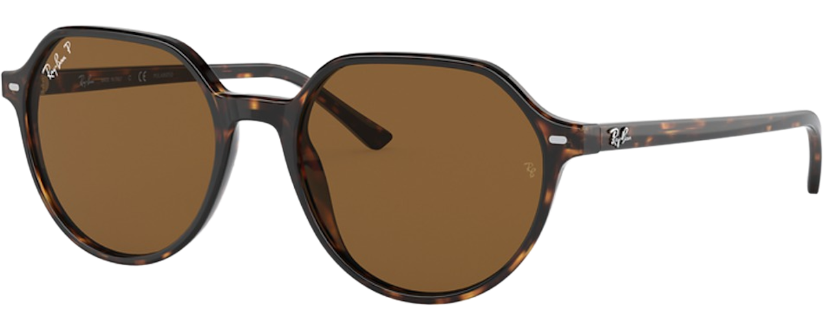 HAVANA / POLAR BROWN