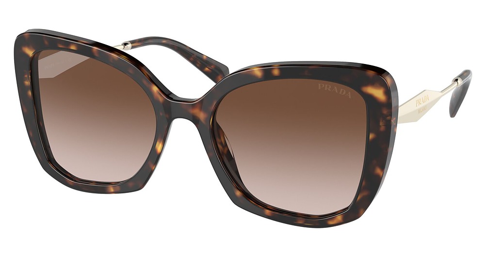 TORTOISE / BROWN GRADIENT