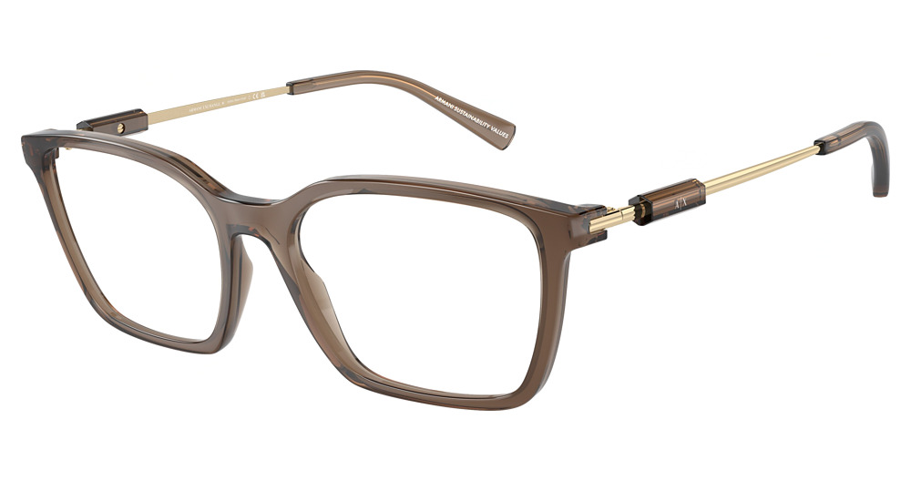 SHINY TRANSPARENT BROWN