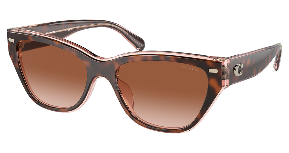 TORTOISE / TRANSPARENT P / BROWN PINK GRADIENT