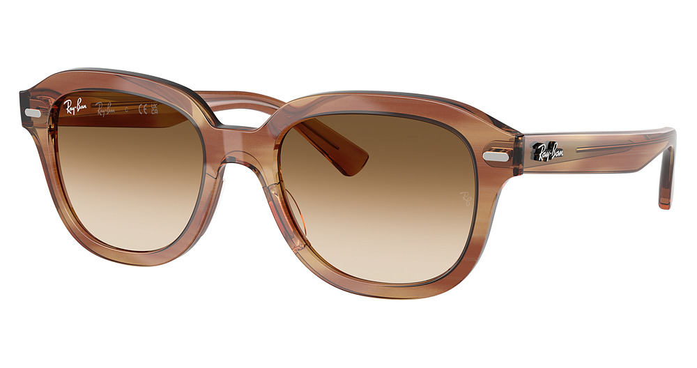 STRIPED BROWN / CLEAR GRADIENT BROWN