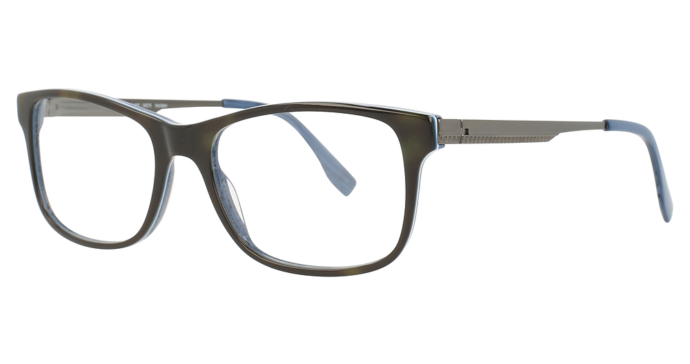 Blue/Tortoise