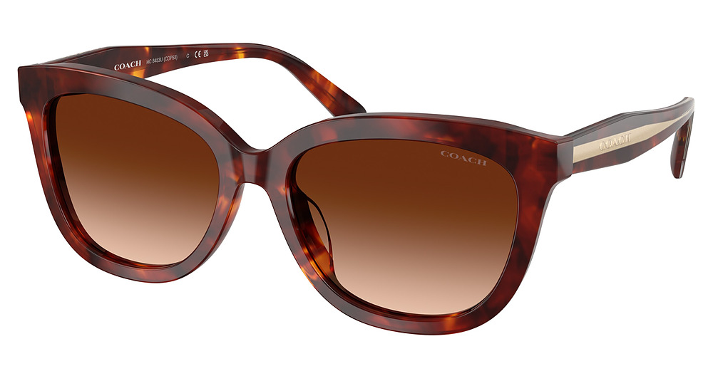 WALNUT TORTOISE / BROWN GRADIENT
