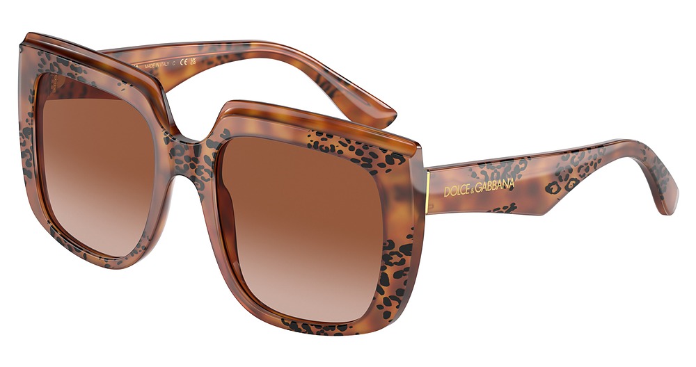 HAVANA LEO / BROWN GRADIENT