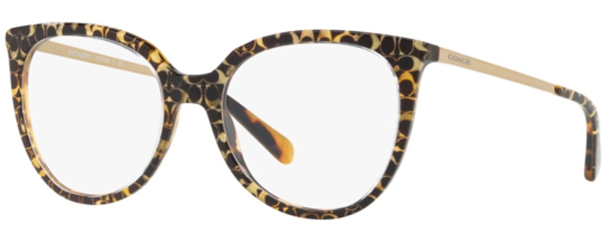 SPOTTY TORTOISE SIGNATUR