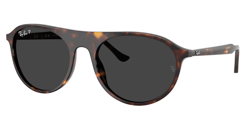 Ray-Ban RB2215 sunglasses in Havana/Polarized Black