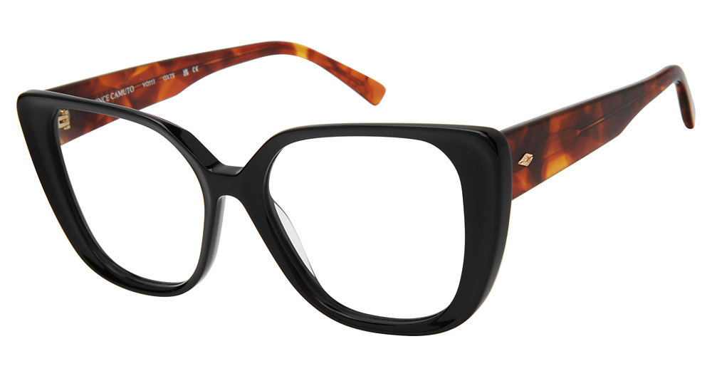 BLACK TORTOISE