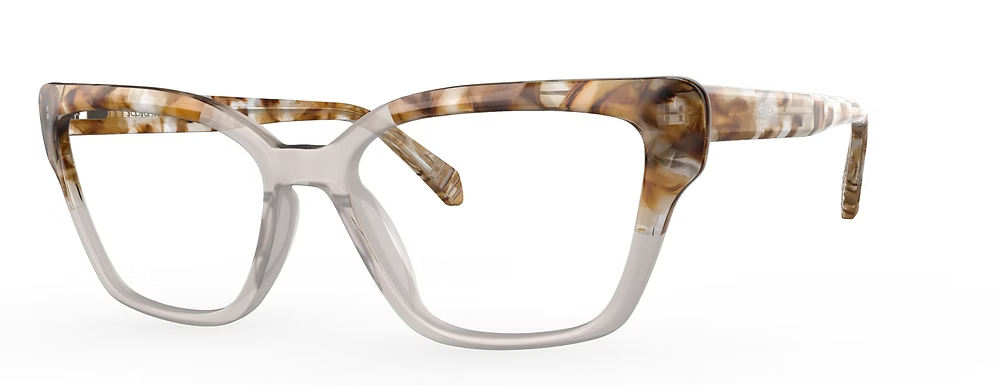 WALNUT TORTOISE