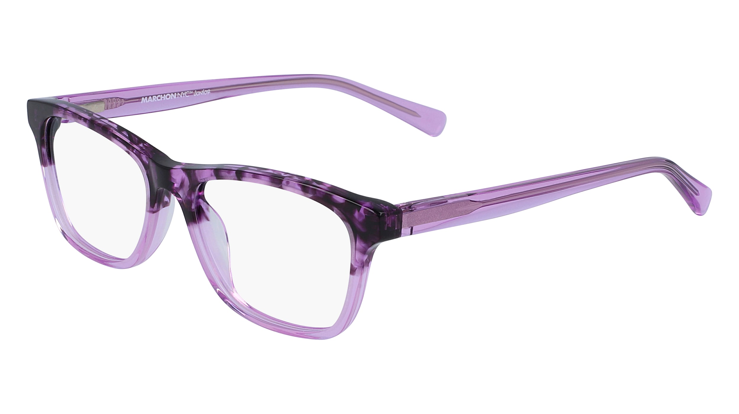 PURPLE TORTOISE GRADIENT