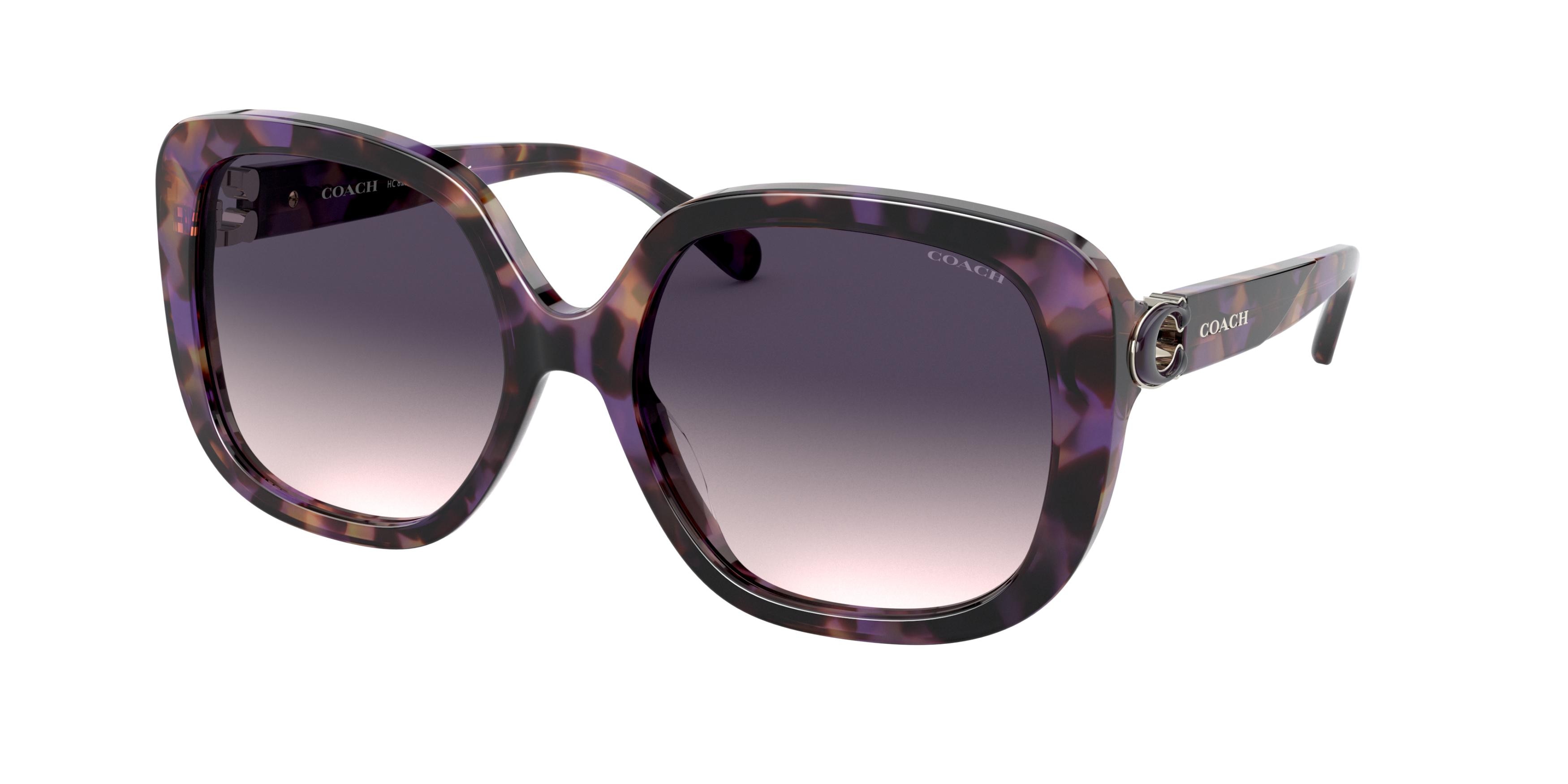 PURPLE TORTOISE