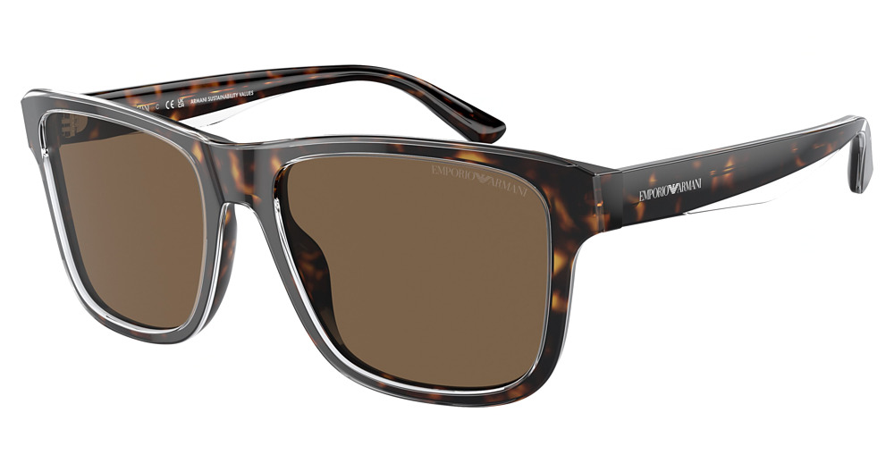 SHINY HAVANA/TOP CRYSTAL / DARK BROWN