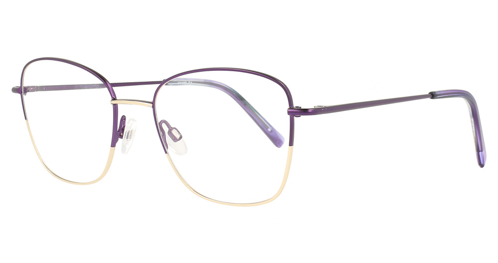 PURPLE/GOLD