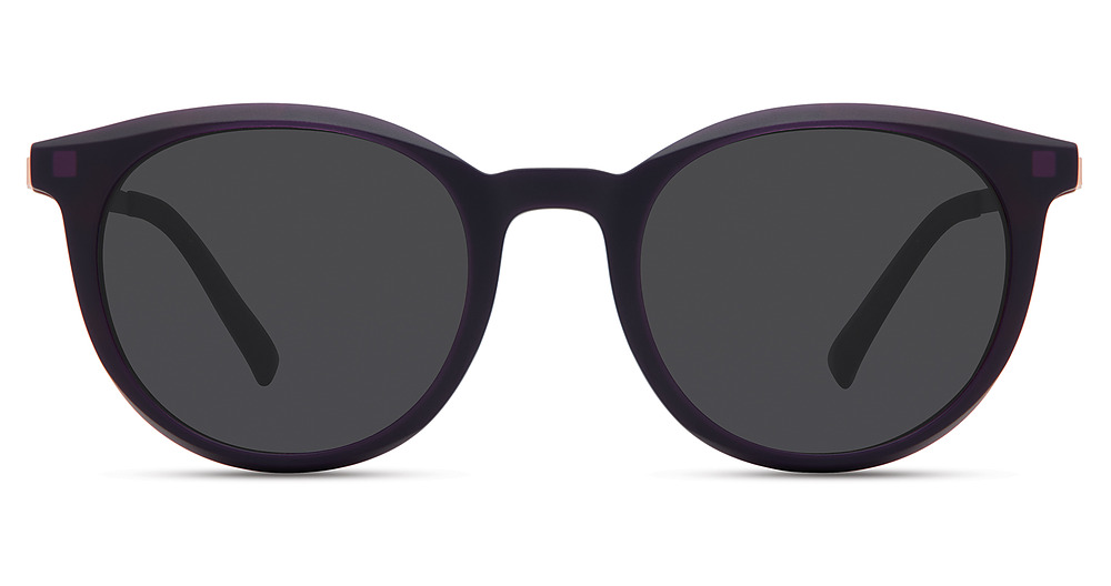 DARK PURPLE TORTOISE