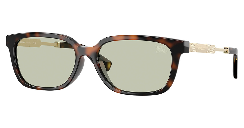 DARK HAVANA / LIGHT GREEN