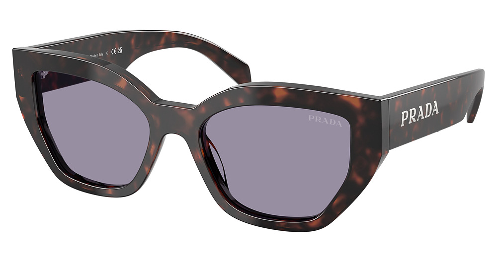 ROOT TORTOISE / GREY