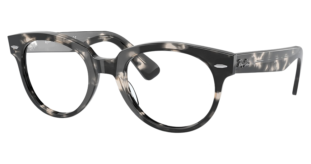 Ray-Ban RX2199VF round eyeglasses in Grey Havana