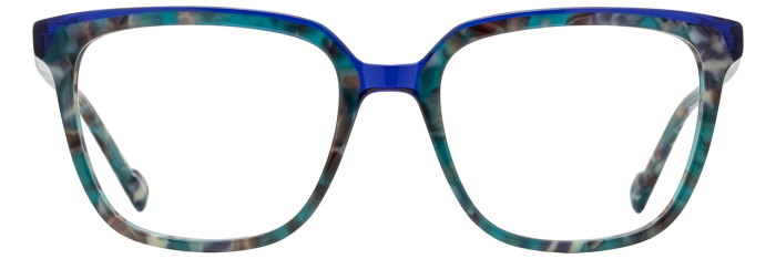 Teal Tortoise