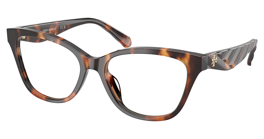 CONTRAST TORTOISE