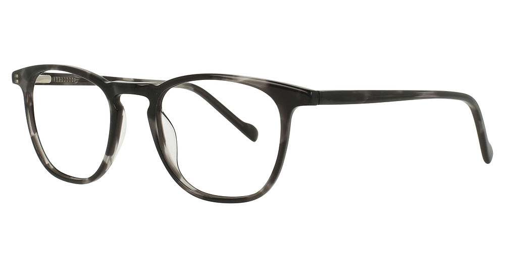 Grey Tortoise