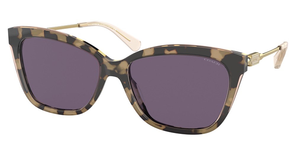 NUDE TORTOISE / PURPLE