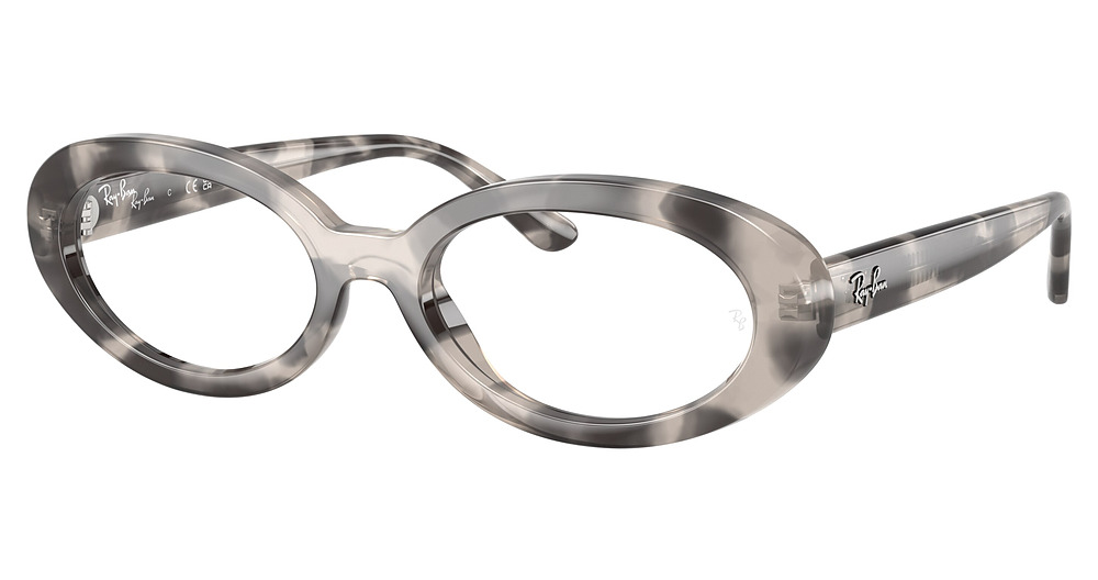 Ray-Ban RX2223VF round eyeglasses in Opel Grey Havana