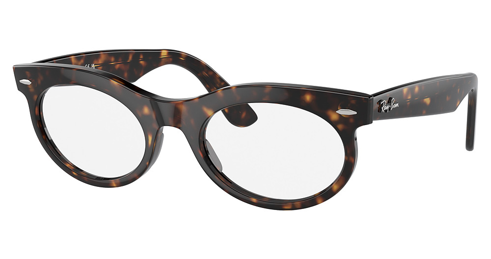 Ray-Ban RB2242F WAYFARER OVAL sunglasses in Havana/Transition Brown