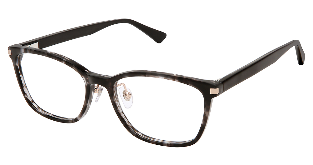 BLACK TORTOISE