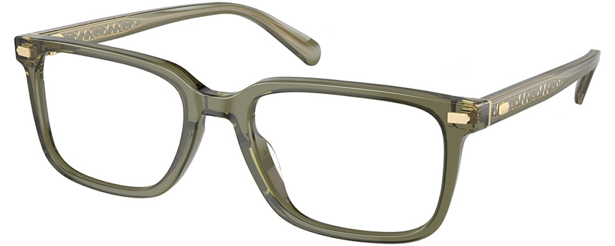 TRANSPARENT OLIVE