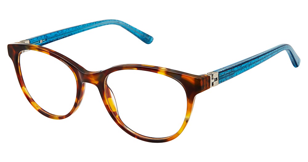 TORTOISE/BLUE