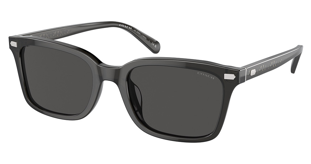 TRANSPARENT DARK GREY / GREY SOLID