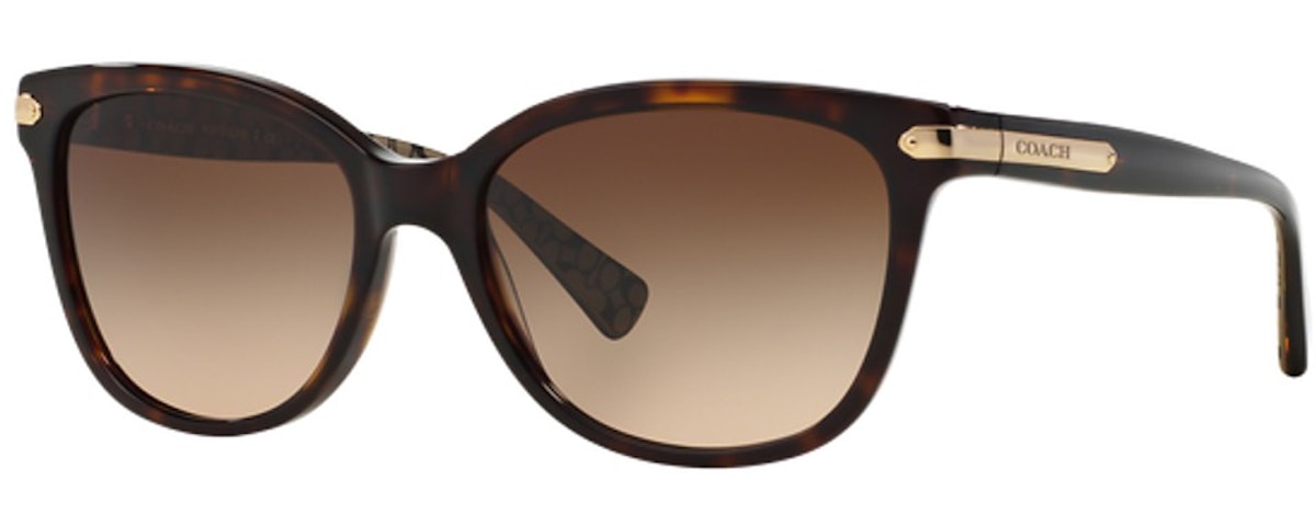 DARK TORTOISE / DARK BROWN GRADIENT