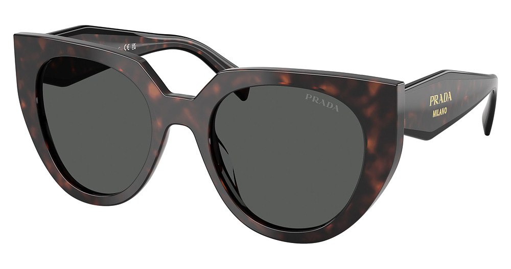 ROOT TORTOISE / DARK GREY